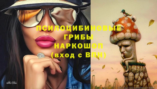 гидропоника Балабаново