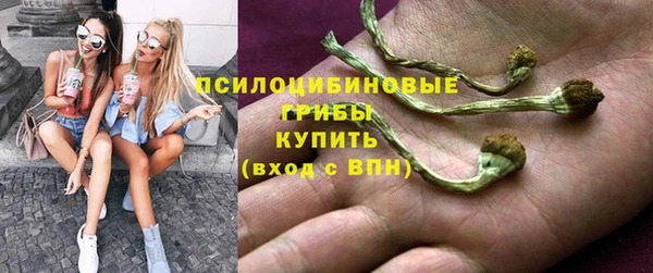 гидропоника Балабаново