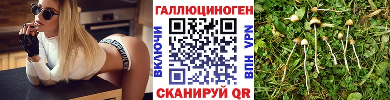как найти   Белово  OMG   Галлюциногенные грибы GOLDEN TEACHER 