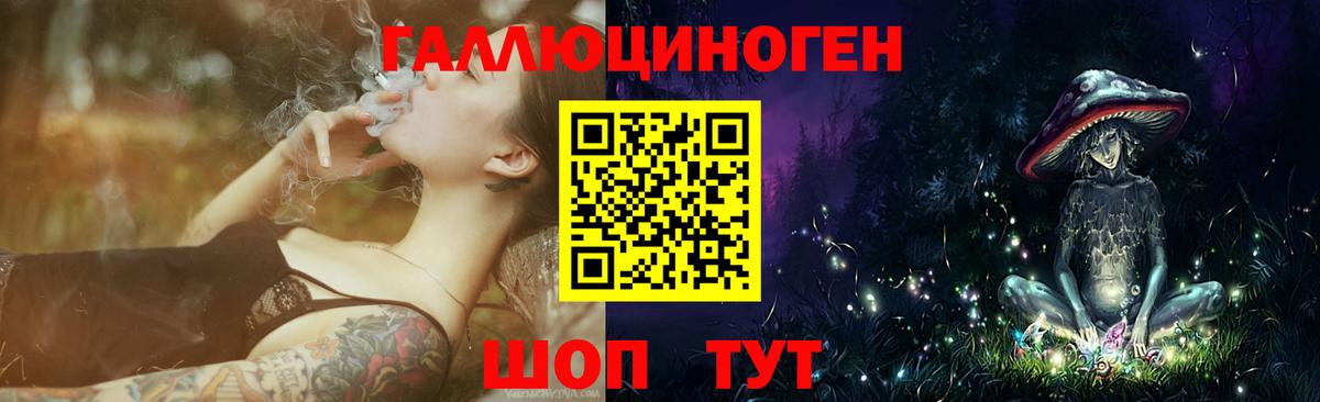 Псилоцибиновые грибы мицелий Белово